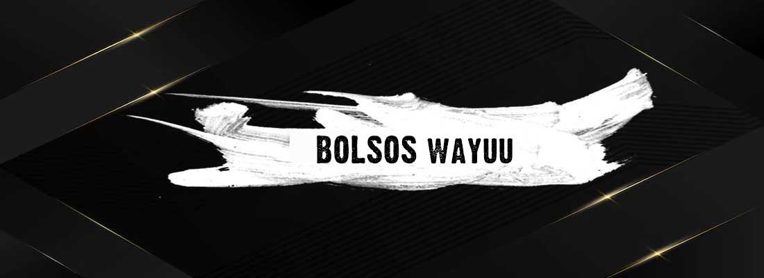 Bolsos wayuu para mujer